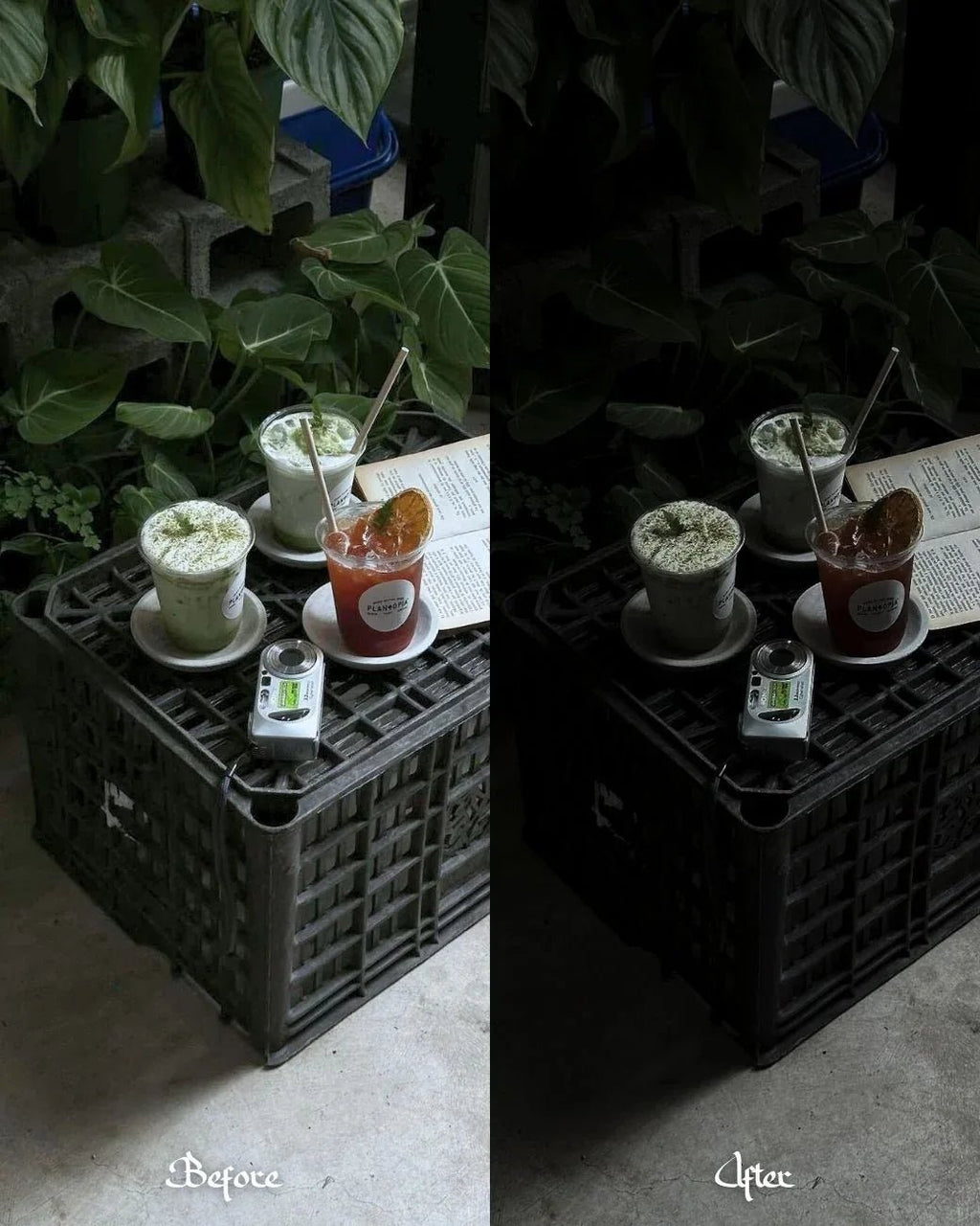 10 Twilight - ZahraElegance.com