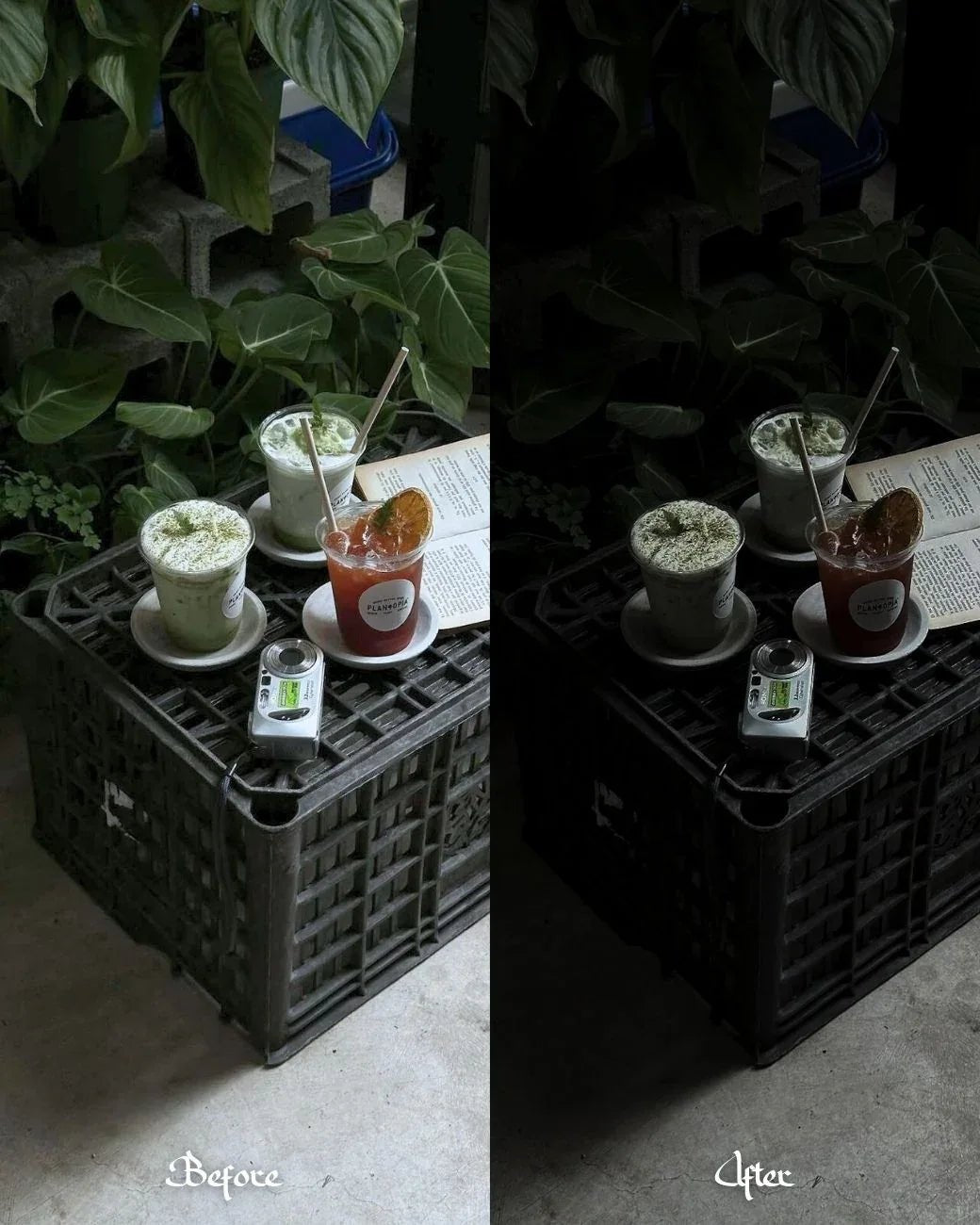 10 Twilight - ZahraElegance.com